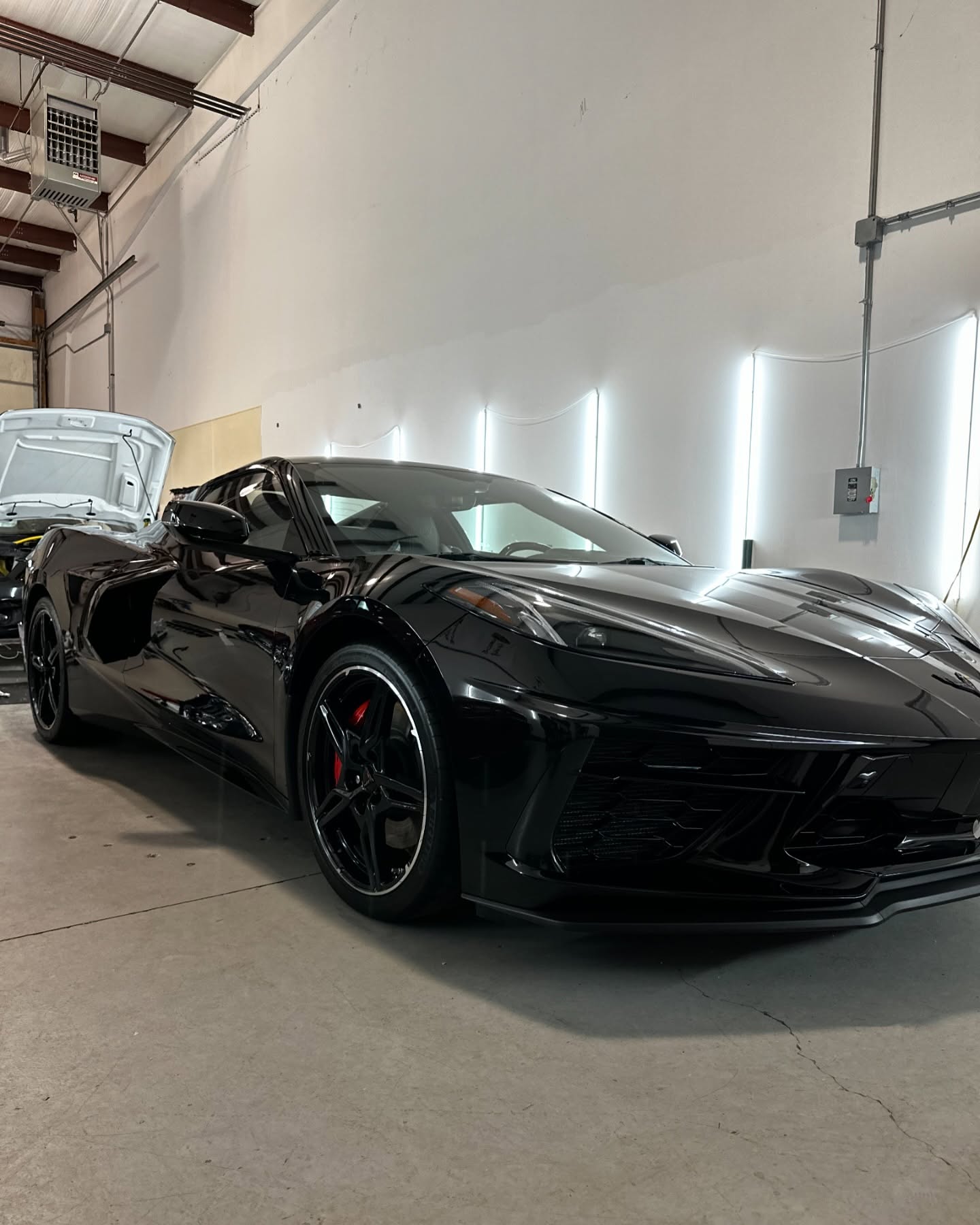 Machine polishing paint before a System X ceramic coating at Detail Tech