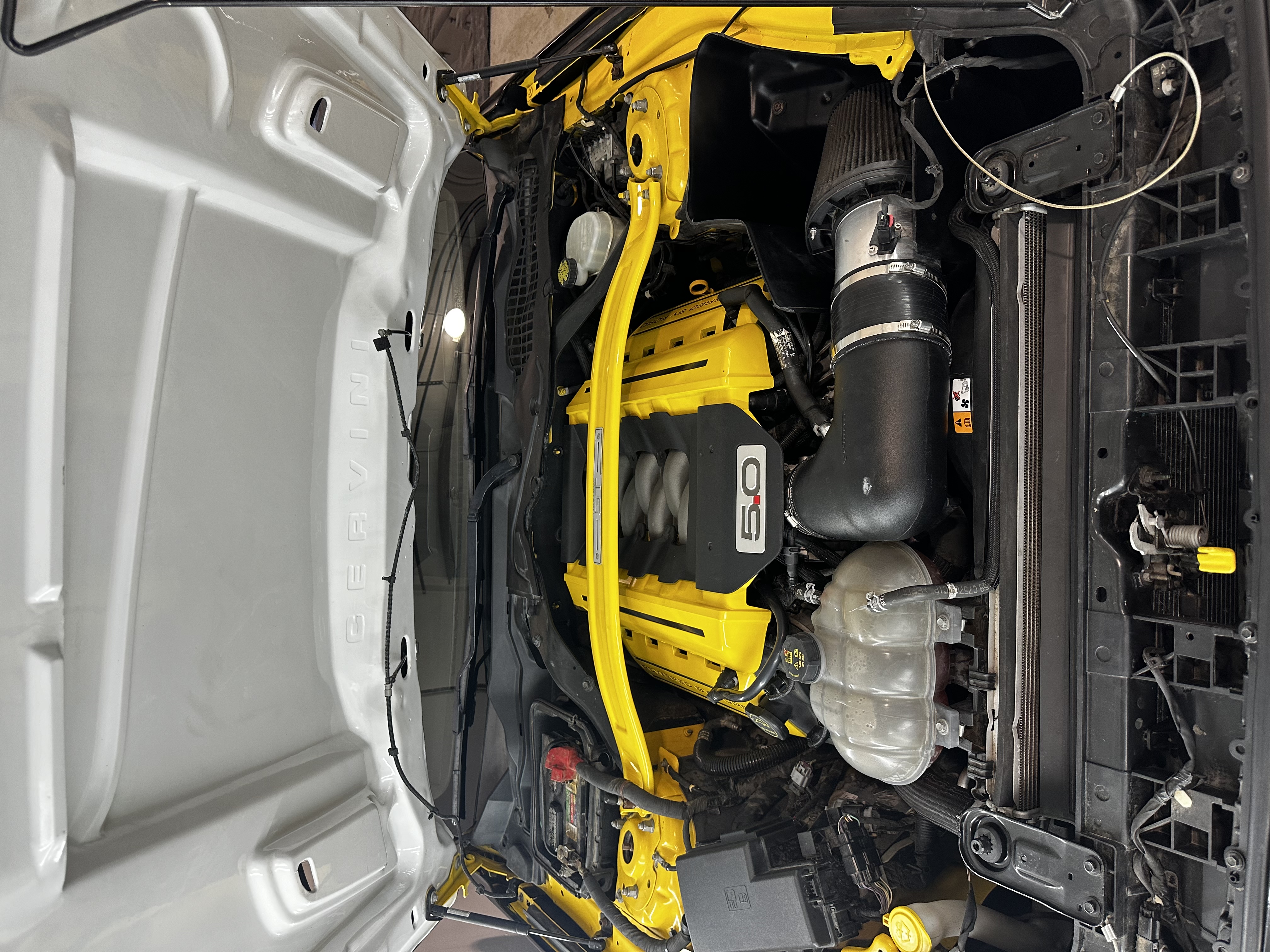 Mustang engine bay after an Engine Bay Detail at Detail Tech